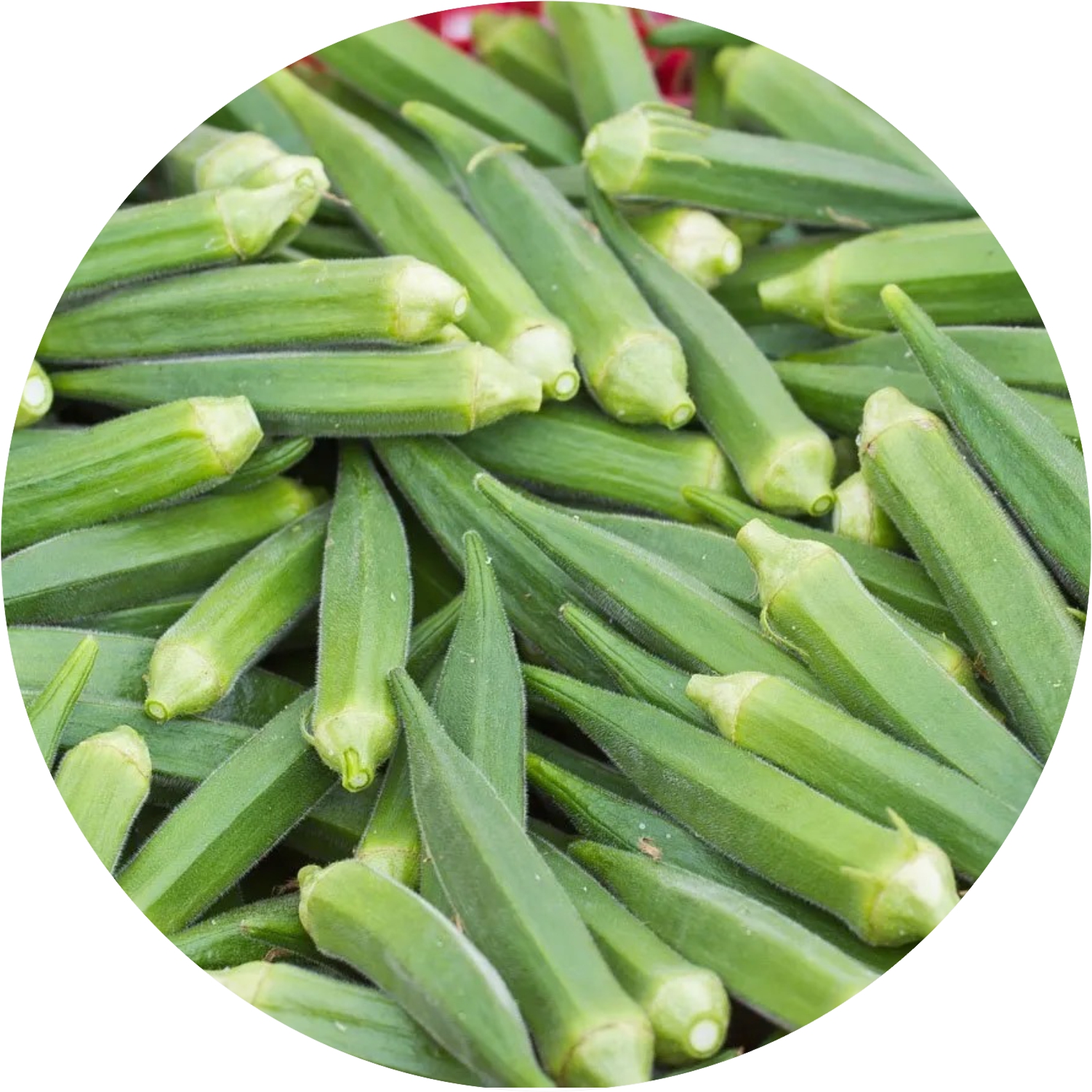 Bhindi 